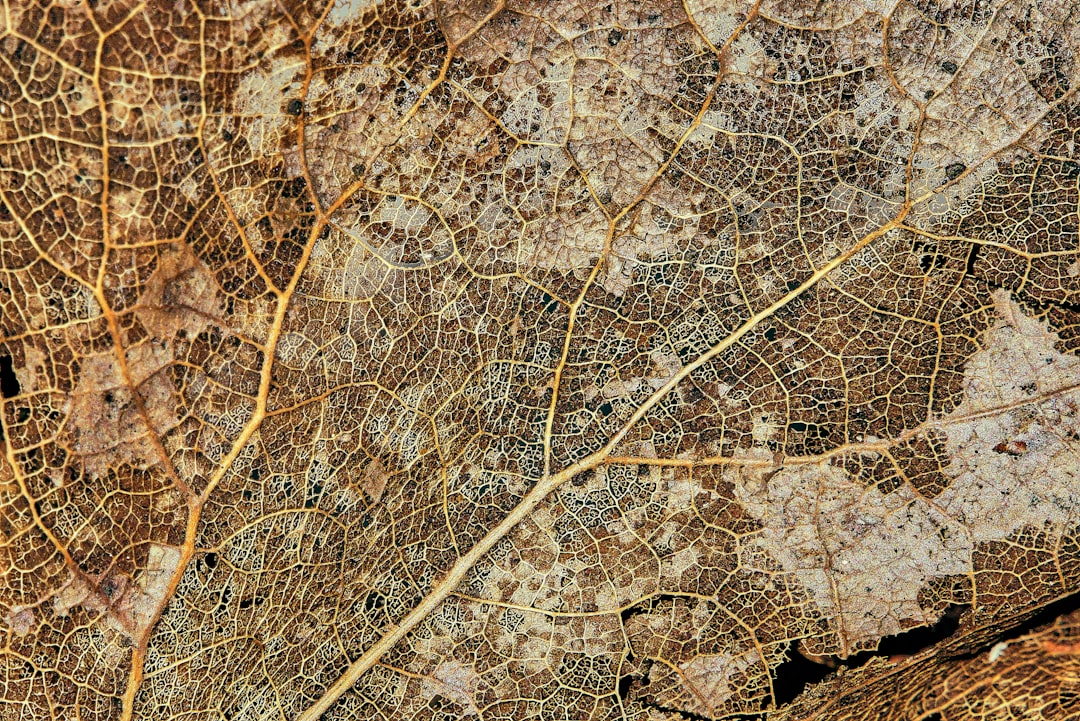 Oficina y mapa en España